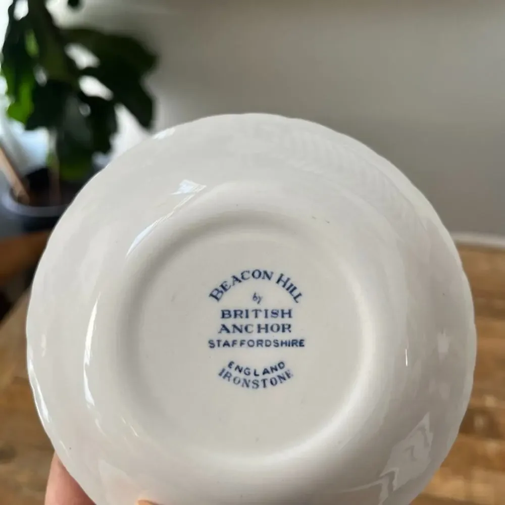 VTG Beacon Hill by British Anchor Ironstone Plate Set of 2 Plate 10